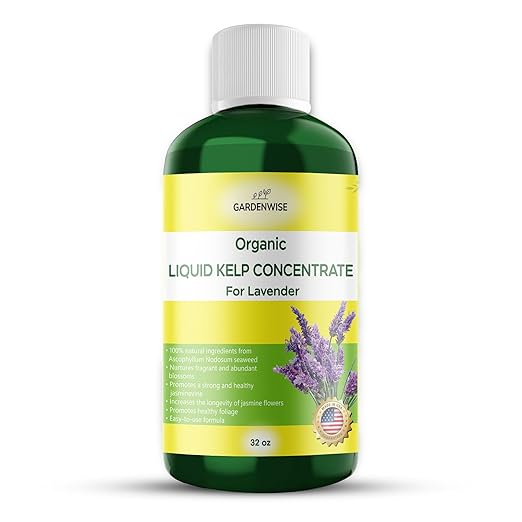 Organic Seaweed Fertilizer for Lavender - Rich Nutrients Kelp Fertilizer for Plants | Indoor & Outdoor Use - Liquid Plant Food (32 OZ)
