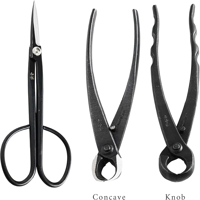 Wazakura Made in Japan 5PCS Bonsai Tool Kit with Roll Bag: Yasugi Steel Twig Bonsai Scissors, Concave Branch Cutter, Knob Cutter, Wire Cutter, Tweezers - 5 Tools Twig Schissor Set with Case…