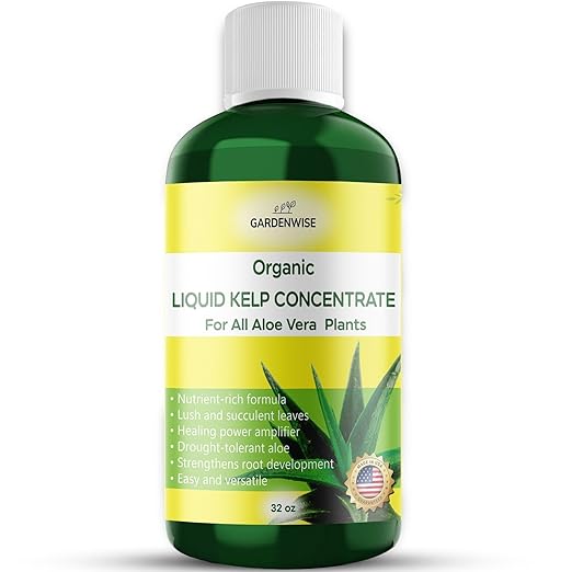 Organic Premium Kelp Seaweed Fertilizer - Liquid Hydroponics Fertilizer - Liquid Plant Food - Nutrient-Rich Soil Enhancer - Natural Plant Food for Aloe Vera (32 OZ)