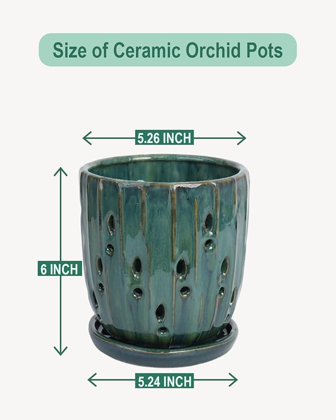 vensovo 6 Inch Ceramic Orchid Pot - Orchid Pot with Holes for Repotting, Ceramic Planter with Saucer for Indoor/Outdoor Plants, Green
