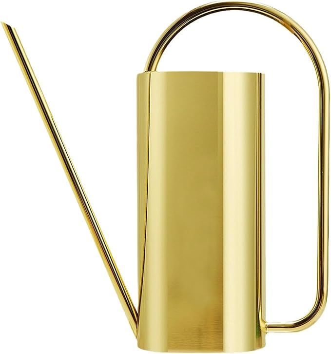 Watering Can for Indoor Plants, 50 oz/1.5L Stainless Steel Watering Can Pot with Long Spout, Garden Watering Cans with Comfortable Handle for Indoor House Plants Bonsai Flower Decorative