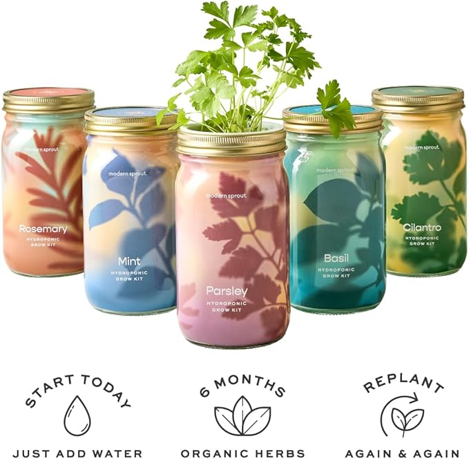 Modern Sprout Mason Garden Jar - Self-Watering Hydroponics Growing System Kit with Organic Herb Seeds - Jar Planter for Indoor Herb Garden - Seed Starter Kit - Home Decor & Gifting - Basil+Mint