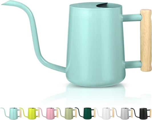 Watering Can Indoor Plants, 35oz Small Watering Can Indoor Stainless Steel Metal Watering Can Modern Decorative Watering Pot with Long Spout for Indoor House Plant Bonsai Outdoor Garden Flowers -Green