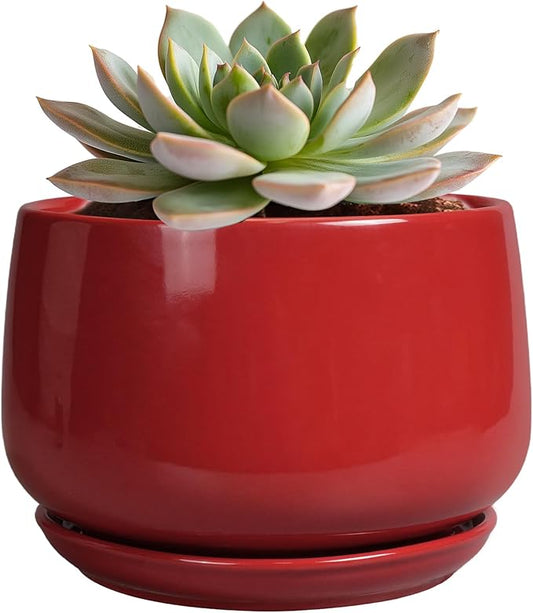 G EPGardening Ceramic Pot for Plants - 6 Inch Plant Pot with Drainage and Ceramic Tray, Modern Living Room Decor, Planter for Housewarming Gifts New Home, Red