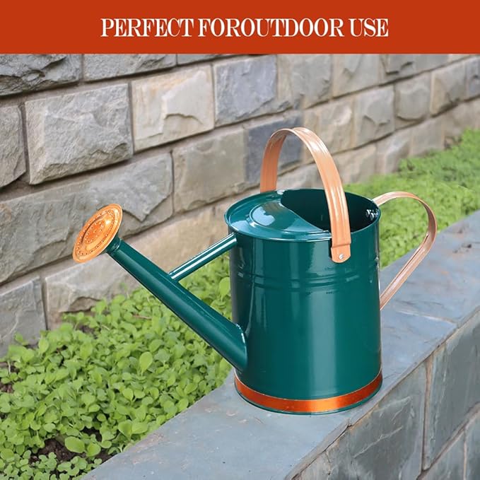 Metal Watering Can, One Gallon Watering Cans Stainless Steel for Outdoor Indoor Garden Plants Watering (One Gallon Green Decorative Strip)