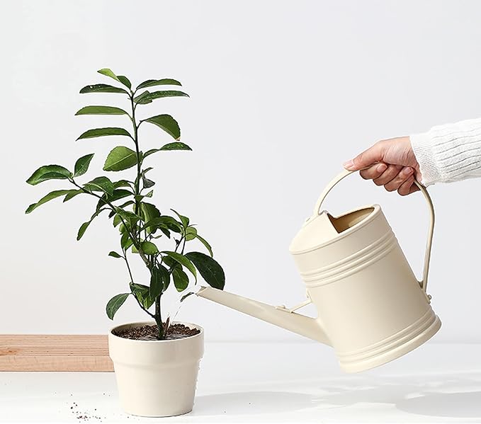Watering Can for Indoor Plants, Flower Watering Can, Plastic Water Can for Plants with Sprinkler Head 68 oz, 1/2 Gallons