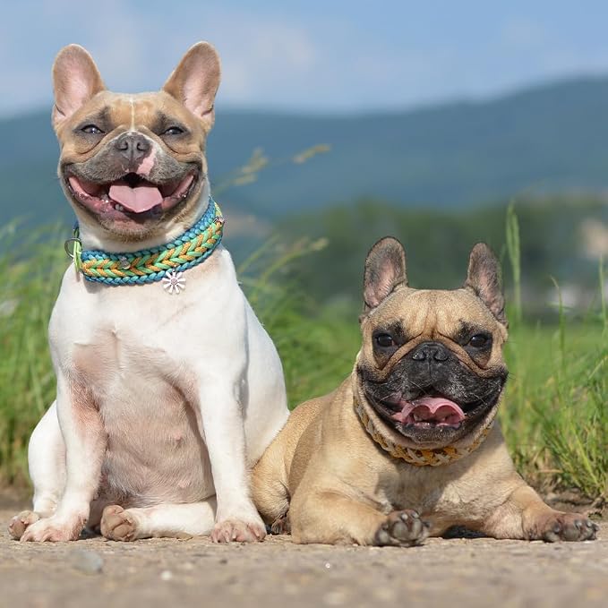 Paracord 550 lb, 7 Strand Paracord Rope 50ft 4mm, Nylon Parachute Cord - Image 4