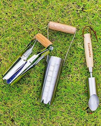 Bulb Planter Tool with 6 Inch Depth Measurment Tulip Bulb for Planting Tulip Daffodils Dahlias Garlics Bulbs Spring Fall Planting Handhold Planting Tool Garden Bulb Transplanter Hole Digger