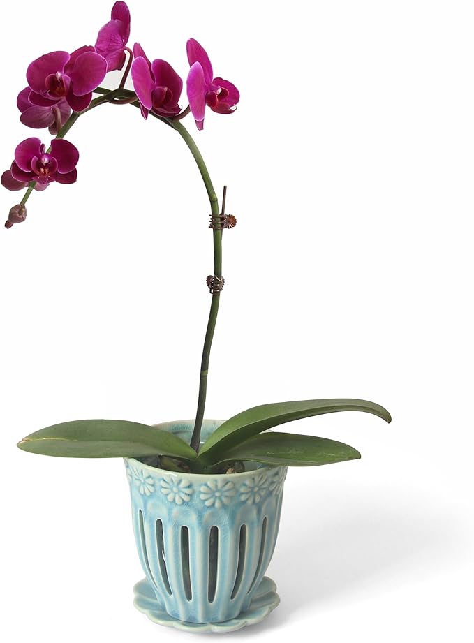 5" Ceramic Orchid Pot with Saucer: Ceramic Orchid Planter for Repotting - Plant Flower Pots for Orchid Indoor Outdoor - Orchid Pots with Holes - Orchid Container with Drainage Holes and Tray