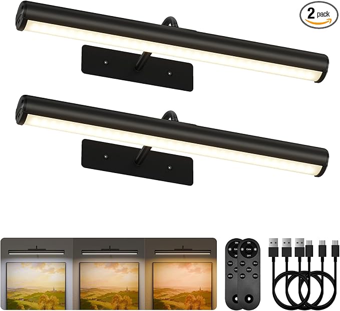 EZVALO 16in Picture Lights for Wall, Rechargeable 6000mAh Cordless Art Lights by EZVALO