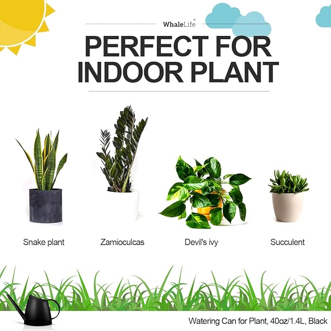 WhaleLife Indoor Watering Can for House Bonsai Plants (1.4L, Black)