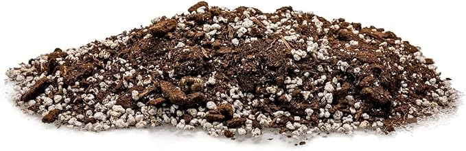 Palm Tree Potting Mix - The Ultimate Soil for Strong and Healthy Palms - Top Choice for Palm Tree Growers [10 Quart Bag]