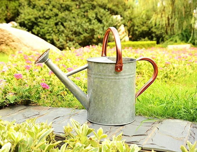 Metal Watering Can, One Gallon Watering Cans Stainless Steel for Outdoor Indoor Garden Plants Watering (Zinc 1 Gallon)