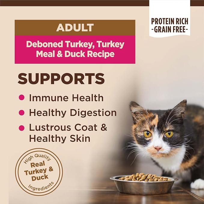Wellness CORE Adult Dry Cat Food, Grain Free Kibble, Turkey and Duck Recipe - Image 2
