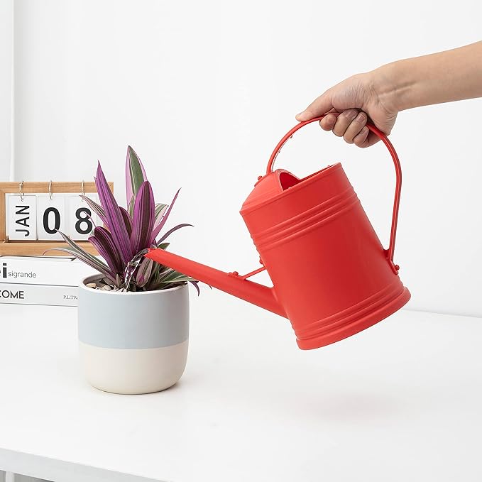 Plastic Indoor Watering Can with Sprinkler Head - 68 oz, 1/2 Gallon