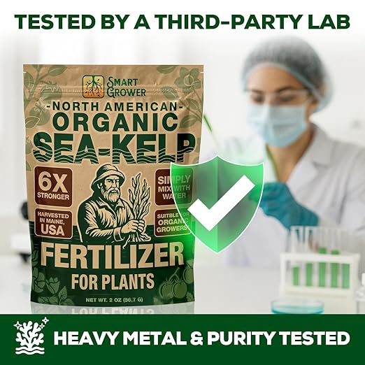 Organic Sea Kelp Fertilizer for Plants – Water-Soluble – Makes 100 Gallons – Kelp Meal Concentrate Plant Food – for Indoor Gardens, Hydroponics, Vegetables, Houseplants - Smart Grower - 4oz Bag