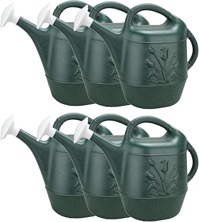PMU 2 Gallon Watering Can - Garden Watering Can for Indoor & Outdoor Plants - Plastic Water Can with Detachable Sprinkler Head - Large Water Pot, Made in USA - Hunter Green Pkg/6