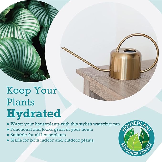 Stainless Steel Watering Can for Houseplants by Houseplant Resource Center | 1L Capacity for Indoor/Outdoor Plants in Brushed Silver