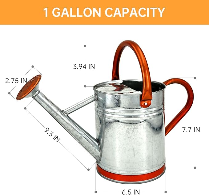 Metal Watering Can for Outdoor Plants, Galvanized Steel Watering Can with Removable spout, 1 Gallon,Perfect Home & Garden Décor Retro Zinc Hue