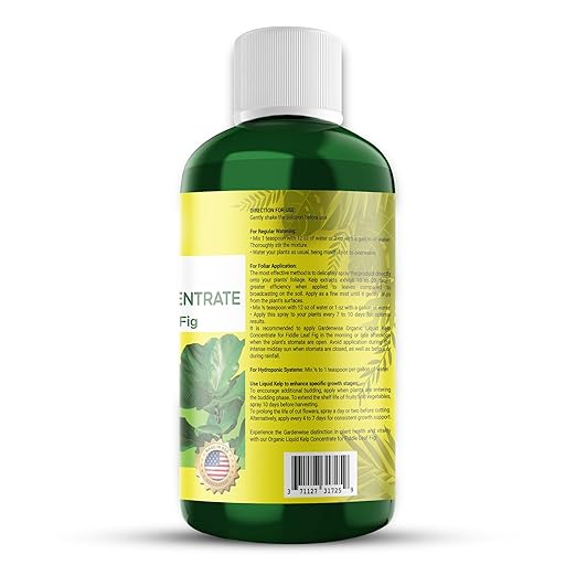 Fiddle Leaf Fig Plant Food – Liquid Seaweed Kelp Fertilizer for Plants – Made in USA (8 OZ)