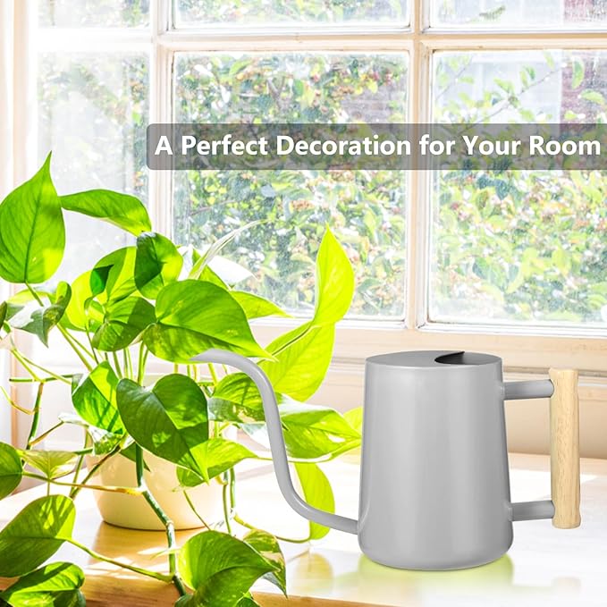 Watering Can Indoor Plants, 35oz Small Watering Can Indoor Stainless Steel Metal Watering Can Modern Decorative Watering Pot with Long Spout for Indoor House Plant Bonsai Garden Flowers (Gray)
