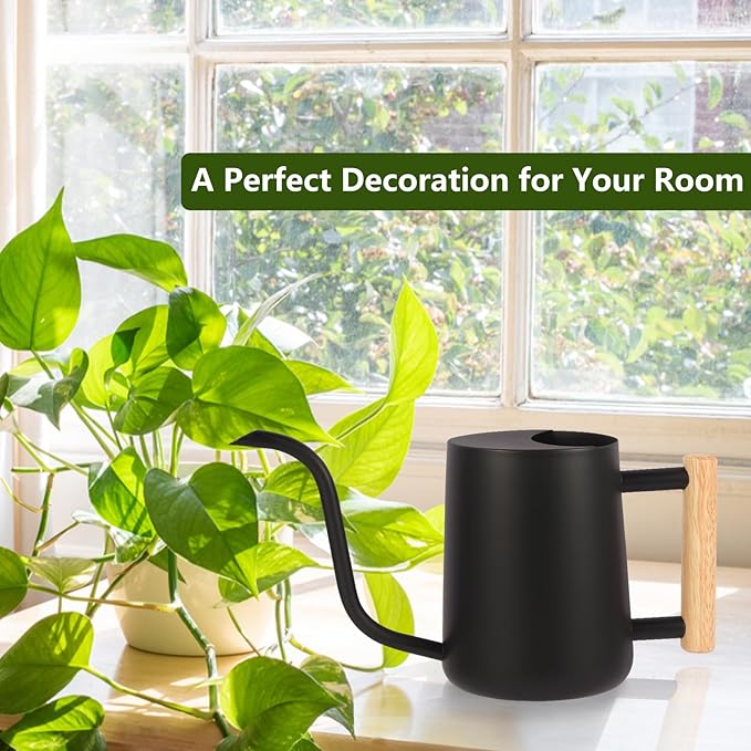 Plant Watering Can,35oz Metal Watering Can,Stainless Steel Watering Can Indoor Plants with Long Curved Spout,Small Watering Can for Indoor Plants,Bonsai Outdoor Garden Modern Decorative(Black)