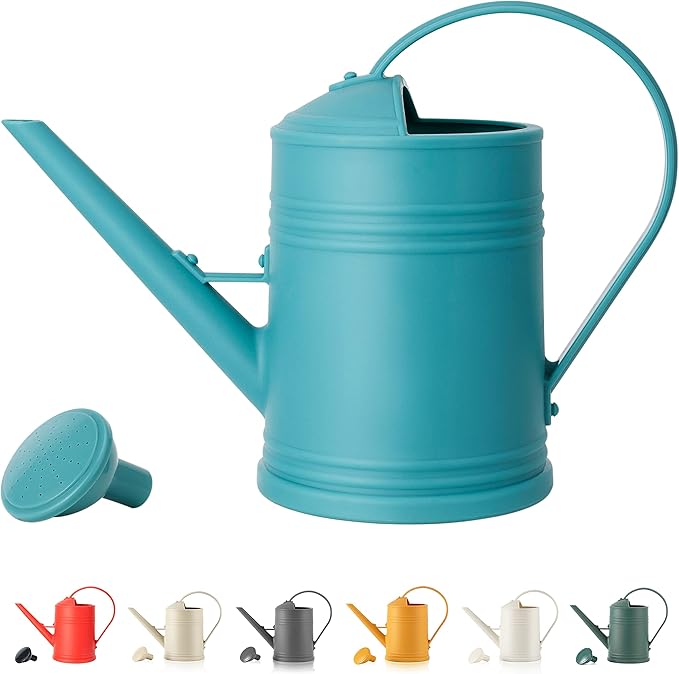 Watering Can for Indoor Plants, Flower Watering Can, Plastic Water Can for Plants, Indoor Watering Can with Sprinkler Head 68 oz, 1/2 Gallons