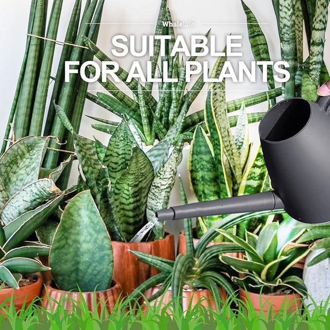 WhaleLife Indoor Watering Can for House Bonsai Plants (2.0L, Gray)