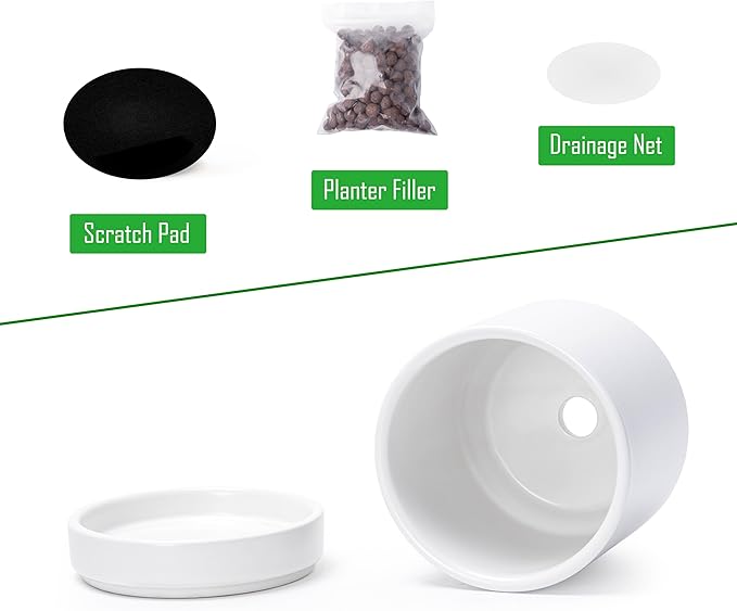 D'vine Dev Set of 2 Plants Pots, 3.5 Inch Ceramic Planter Pot for Plants with Drainage Hole and Saucer, White, 94-V-A-1