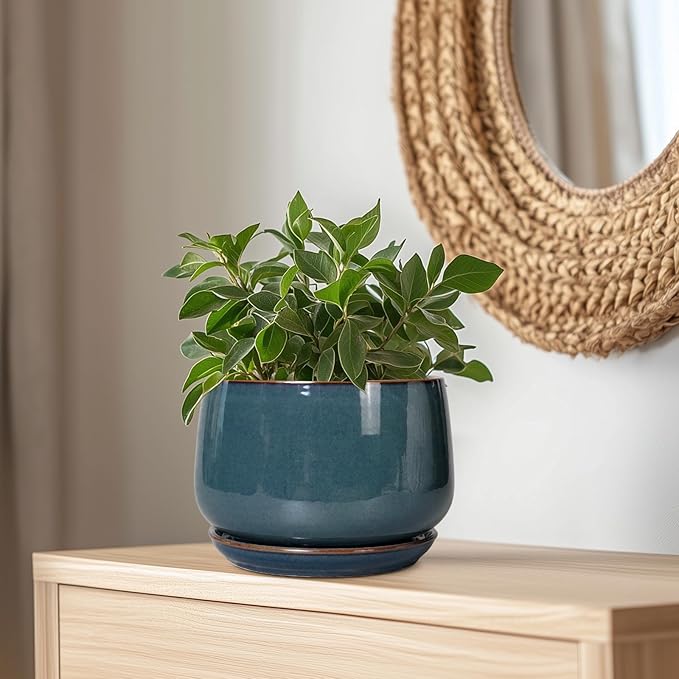 G EPGardening Ceramic Plant Pots - 9 Inch Round Modern Planter Indoor with Drainage and Tray for Indoor Outdoor Flower, Office Decor, Gardening Gifts, Retro Blue