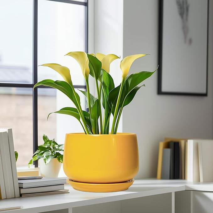 G EPGardening Ceramic Flower Pot - 9 Inch Plant Pots for Indoor Outdoor Plants, Round Ceramic Planter with Drainage and Plant Saucer, Modern Planter, Home Office Decor, Garden Gifts, Yellow