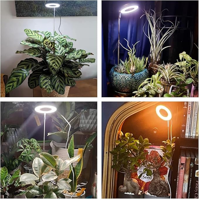 Plant Grow Light, 48 LEDs Full Spectrum Grow Light for Indoor Plants, Height Adjustable Small Halo Light with Base, 3 Optional Spectrums, Auto Timer 3/9/12Hrs, 10 Brightness, 3 Pack