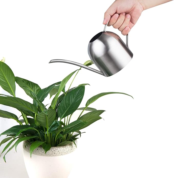 IMEEA Indoor Watering Can for House Plants Stainless Steel Watering Can Metal with Long Spout (33oz/1L)