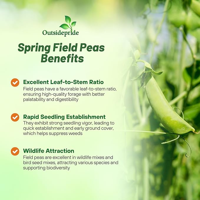Outsidepride Dundale Spring Field Peas Seeds - 10 lbs. Annual, High-Protein Legume & Cover Crop Seeds for Forage, Food Plot, Gardens & Pastures - Ideal for Improving Soil Health, & Erosion Control