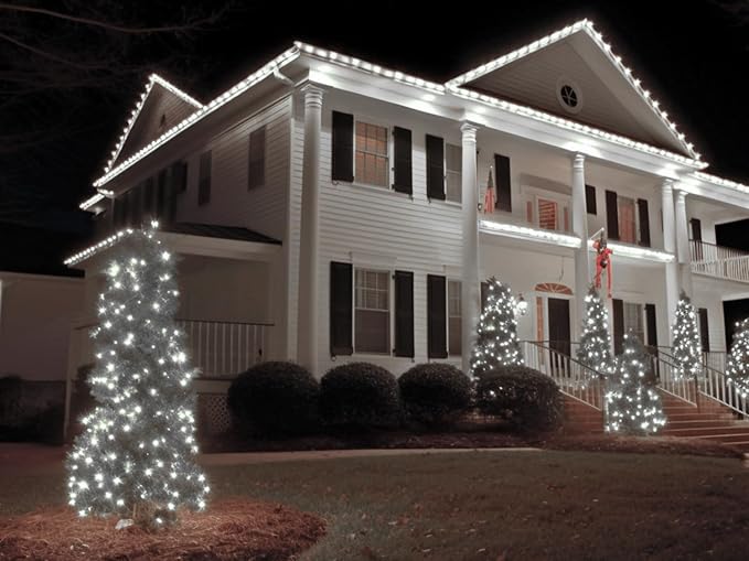 LED Rope Lights for Outside 100Ft Waterproof Rope Lighting 429 LEDs 110V 8 Modes Remote Control Timer Christmas Rope Lights for Indoor Outdoor Party Holiday Garden Decoration (White)
