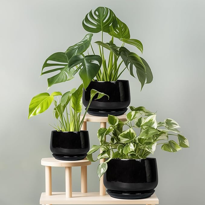 G EPGardening Ceramic Plant Pots - 9 Inch Round Planter, Ceramic Pots for Plants with Drainage and Tray, Flower Indoor Outdoor Planter, Modern Desk Decor, Plant Lover Gifts, Black