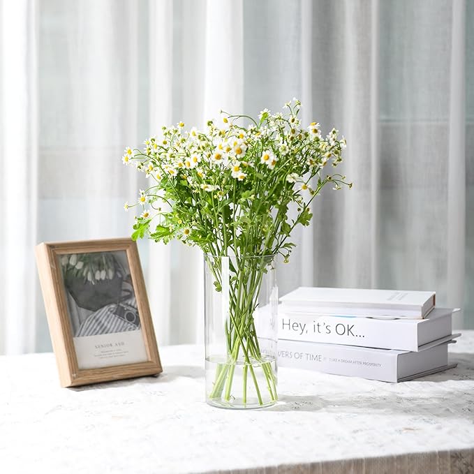 Clear Flower Vase, Non-breakable Vases, 6" W x 10" H, Acrylic Vase, Aesthetic Room Decor Cylindrical Modern Flower Vases for Table Centerpiece, Home Decor, Women Floral Arrangement Gift