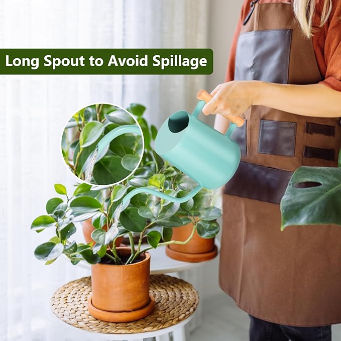 Watering Can Indoor Plants, 35oz Small Watering Can Indoor Stainless Steel Metal Watering Can Modern Decorative Watering Pot with Long Spout for Indoor House Plant Bonsai Outdoor Garden Flowers -Green