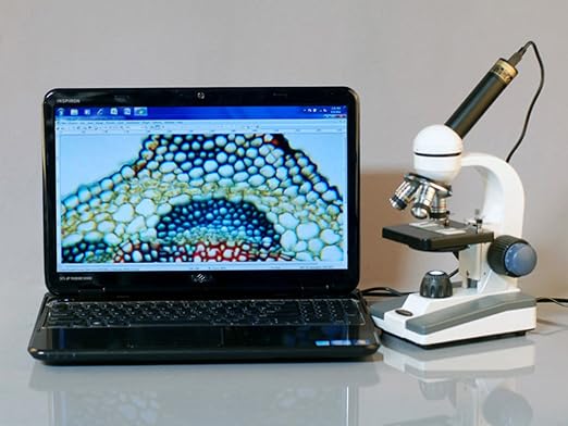 AmScope M150C-50WM-50P100S Compound Monocular Microscope, WF10x and WF25x - Image 4
