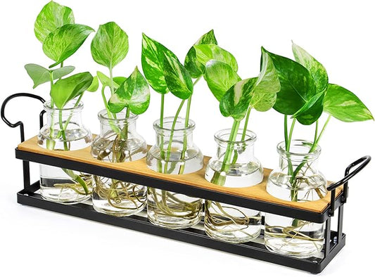 THYGIFTREE Plant Propagation Stations with Metal Stand, Tabletop Plant Terrarium for Propagating Hydroponic, Retro Glass Planter Flower Vase Home Kitchen Office Decor, Plant Lover Gifts, 5 Jars