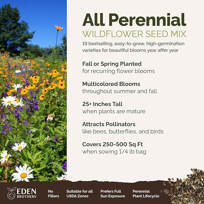 Eden Brothers All Perennial Wildflower Mixed Seeds for Planting, 1/4 lb, 120,000+ Seeds with Lupine, Shasta Daisy | Attracts Pollinators, Plant in Spring or Fall, Zones 3, 4, 5, 6, 7, 8, 9, 10