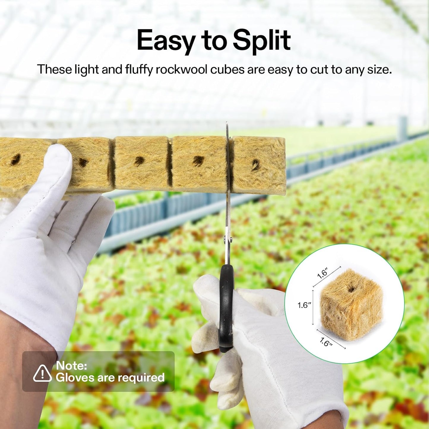 VIVOSUN 1.6" Rockwool Cubes, 112 Plugs Stonewool Starter Grow Cubes for Cuttings, Cloning, Plant Propagation, Seed Starting, Hydroponic Grow Media for Vigorous Plant Growth, 4 Sheets of 112 Plugs