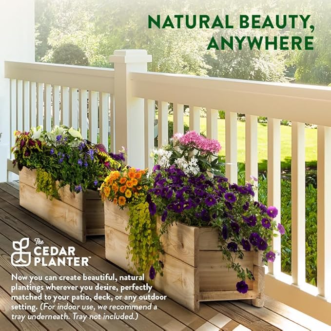 Greenes Fence Cedar Wood Planter Box, 32" x 11" x 10" - Made in USA with North American Cedar