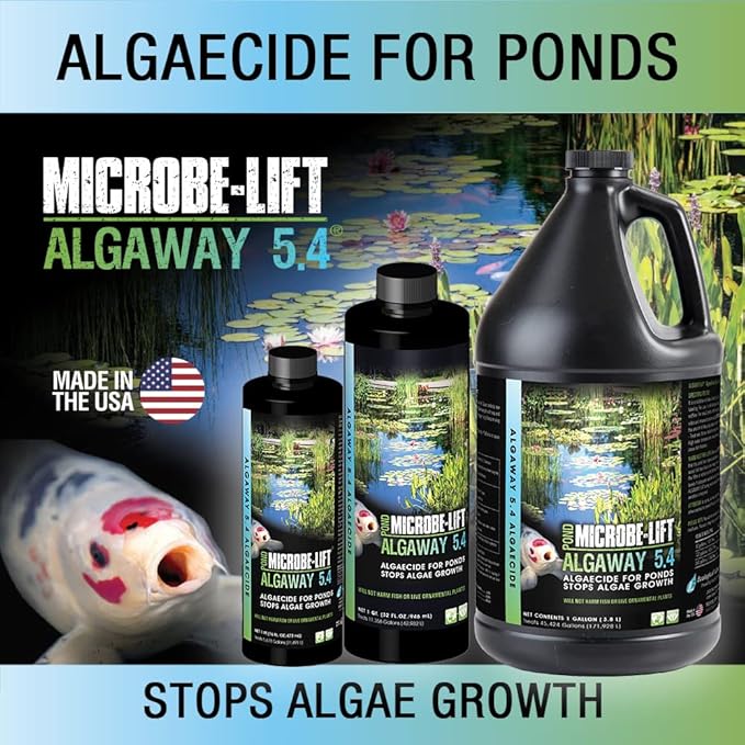 MICROBE-LIFT Algae Control Bundle for Ponds and Water Gardens, Includes ALGA32 Algaway 5.4 (32 oz) + PL Pond Bacteria and Outdoor Water Garden Cleaner (32 oz)