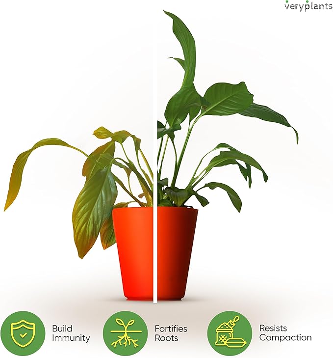 Molly's Aroid Mix - Premium Soilless Chunky Potting Mix for Tropical and Indoor Plants - Contains Orchiata Bark, Coco Chips, Worm Castings, Horticultural Charcoal, Mycorrhizae 10 Dry Quarts