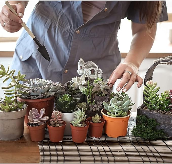 Wishlotus Mini Gardening Tools, 3Pcs Gardening Hand Tools with Non-Slip Handles, Portable Tools Set for Indoor Gardening, Succulents, Bonsai, Gift for Wife and Mother（Thin）