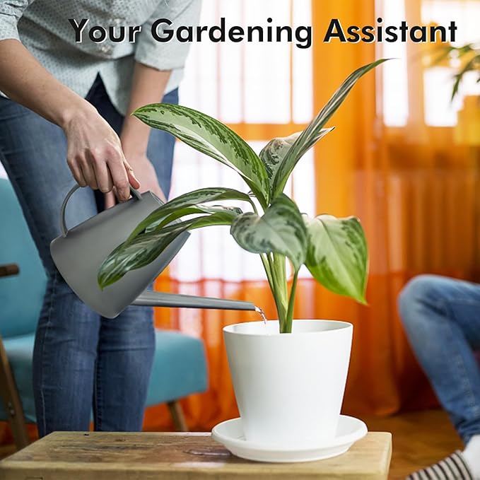 Watering Can for Indoor Outdoor Plants, Modern Small Watering Cans with Removable Nozzle, Long Spout Watering Can for Indoor Bonsai Plants Garden Flowers 1/2 Gallon 1.8L 60OZ (Gray)