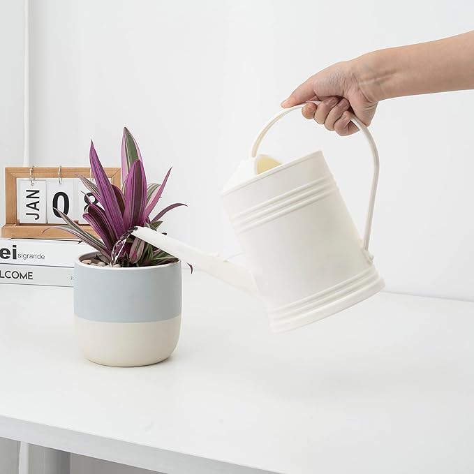 Plastic Indoor Watering Can with Sprinkler Head - 68 oz, 1/2 Gallon