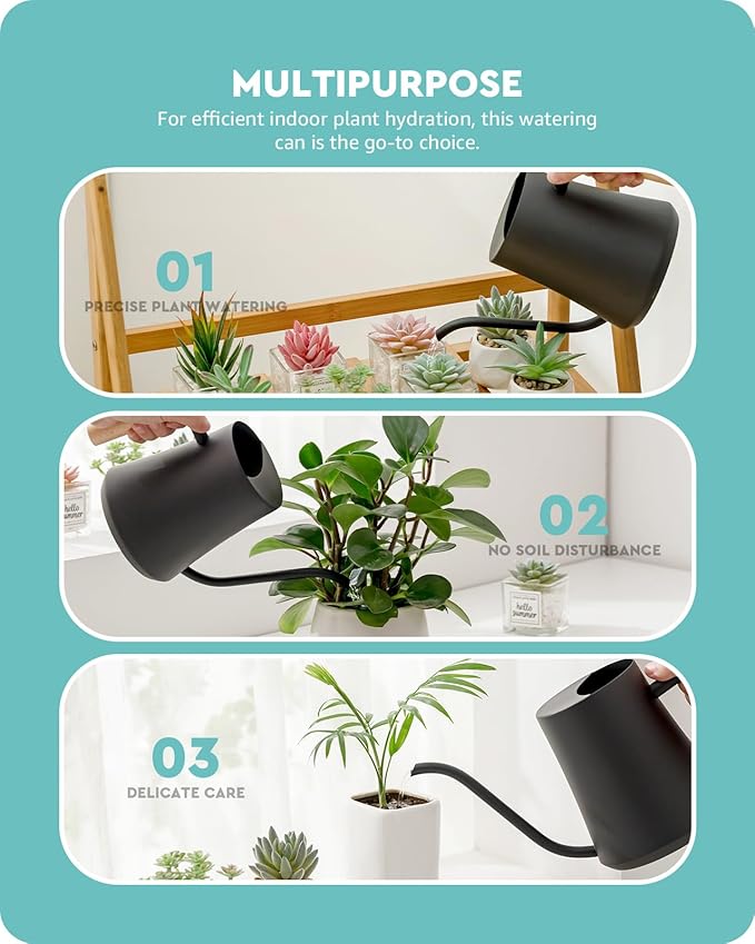 Baffect Indoor Watering Can, 1L/34OZ Metal Houseplant Watering Can with Wooden Handle, Curved Design Watering Can with Long Spout for Small Potted Plants (Black)