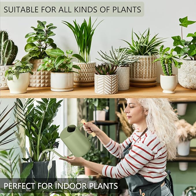 Watering Can Indoor Plants, 35oz Small Watering Can Indoor Stainless Steel Metal Watering Can Modern Decorative Watering Pot with Long Spout for Indoor House Plant Bonsai Garden Flowers (Sage Green)